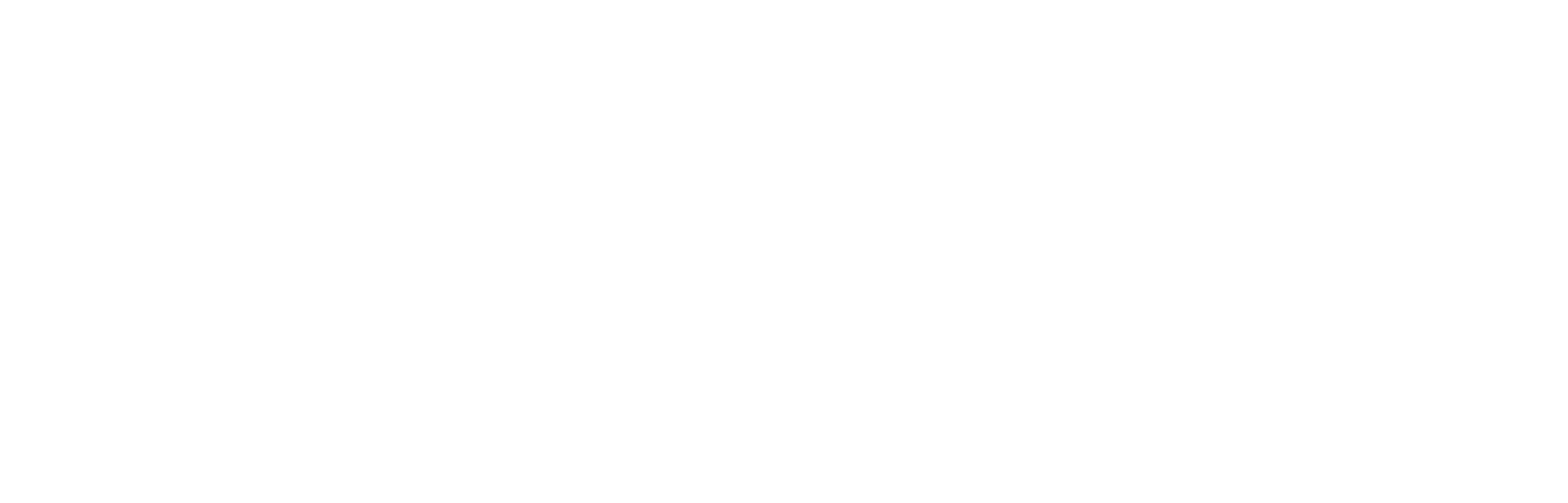 Bazar Prof. Alcides